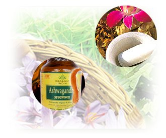 サフランロードにようこそ